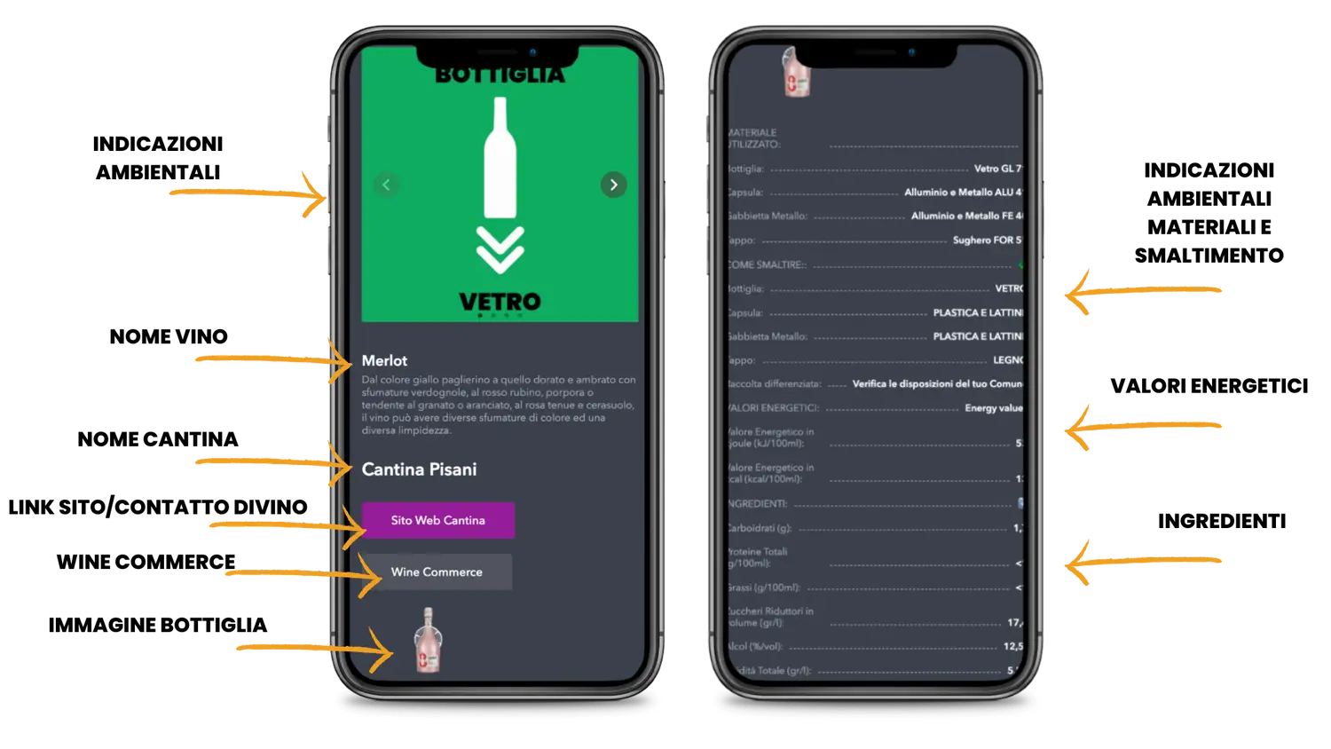 Esempio Etichetta Ambientale, Energetica/Nutrizionale e ingredienti vino
